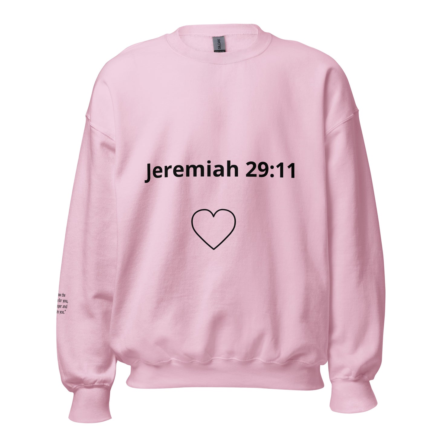 J29:11 Sweatshirt